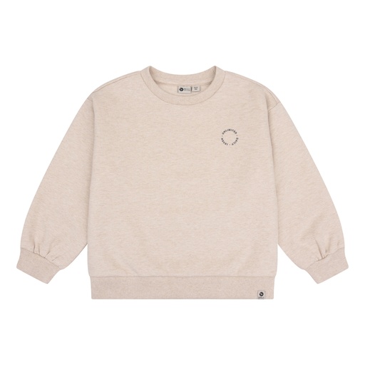 [Daily7 920041/2917] (boys Sweater Oversized Backprint Beige melange) 043011